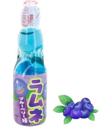 Ramune Sabor Arándanos